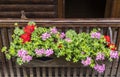 Wooden planter with geraniums in red and pink.