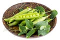 Wooden plate with green pea pods on white Royalty Free Stock Photo