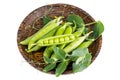 Wooden plate with green pea pods on white Royalty Free Stock Photo
