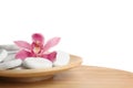 Wooden plate with orchid flower and spa rocks on table against white background. Royalty Free Stock Photo