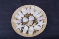 Wooden plate with shells Royalty Free Stock Photo