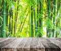 Wooden platform and Asian Bamboo forest with morning sunlight