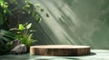 Wooden Platform with Greenery and Sunlight in a Green Setting Royalty Free Stock Photo