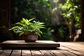The wooden platform and the plant in the background create a serene and inviting atmosphere. Created with generative AI tools