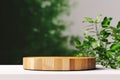 a wooden platform with a plant in the background Royalty Free Stock Photo