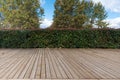 Wooden platform with plant fence, copy-space Royalty Free Stock Photo