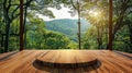 Wooden platform with scenic view of green forest and mountains Royalty Free Stock Photo
