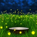 Wooden Podium Mockup in Glowing Firefly Grass Field at Night Royalty Free Stock Photo