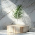 Wooden podium with palm leafle background. 3d render Royalty Free Stock Photo