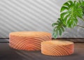 Wooden podium stage cylinder for show product with green Monstera leaf