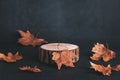 Wooden podium or stand for product showcase with dried leaves on grey stone background, dark still life Royalty Free Stock Photo