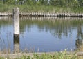 Wooden pole in the channel between Varel harbour and sluice