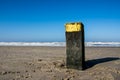 Wooden pole on Dutch beach