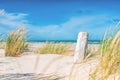 Wooden pole at the beach of Skagen, the northern top of Denmark Royalty Free Stock Photo