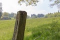 Wooden pole standing beside a meadow in the Eifel, one the German uplands in western Germany. Royalty Free Stock Photo