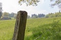 Wooden pole standing beside a meadow in the Eifel, one the German uplands Royalty Free Stock Photo