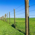 Wooden pole and wire fence at farm.