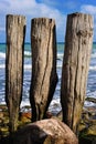 Wooden poles