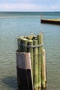 Seascape with wooden poles and seagulls. Royalty Free Stock Photo