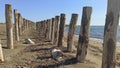 Wooden poles on the beach by the sea Royalty Free Stock Photo