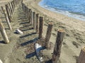 Wooden poles on the beach by the sea Royalty Free Stock Photo
