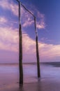 Wooden poles on the beach at sunset glow Royalty Free Stock Photo