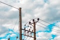 Wooden poles with electric wires and insulator