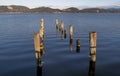 Wooden poles in Massaciuccoli Lake from Torre del Lago Puccini, Lucca, Tuscany, Italy Royalty Free Stock Photo