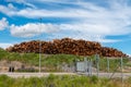 Wooden poles ready for use in the bio energy plant Royalty Free Stock Photo