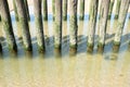 Wooden poles in the sea Royalty Free Stock Photo