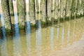 Wooden poles in the sea Royalty Free Stock Photo