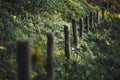 Wooden poles surrounded by grass