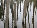 Wooden poles and their reflection in the water Royalty Free Stock Photo