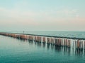 Wooden poles in turquoise sea.wooden poles from old breakwater leftovers in the sea and blue water nature background holiday Royalty Free Stock Photo