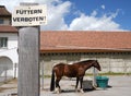 Wooden pool with a shield saying feeding forbidden in German