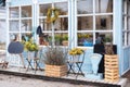 Wooden porch of house with plants and branches yellow mimosa. Facade home with garden tools, pots flowers. Cozy spring decor veran Royalty Free Stock Photo