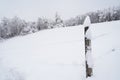 Wooden post of fence with iron wire in front of forest with snow-covered trees in the winter season. Royalty Free Stock Photo