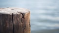 A wooden post with a hole in it by the water, AI