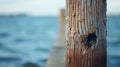 Wooden post with a hole in it by the water, AI