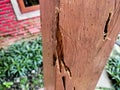 a wooden post with textured termite holes