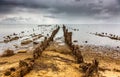 Wooden posts covered with salt, Lake Elton