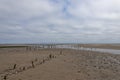 The wooden posts of a long abandoned berthing area for Vessels at the northern end of Montrose Beach,