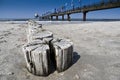 Wooden posts and pier in Prerow on the German Baltic Sea