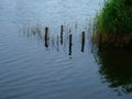 Wooden posts reflected in a lake Royalty Free Stock Photo