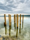 Wooden posts on the shores of a lake on an overcast sky Royalty Free Stock Photo