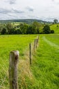 Wooden posts and wire fences dividing plots in Dutch agricultural landscape