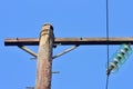 A wooden power pole against a clear blue sky Royalty Free Stock Photo