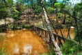 Wooden prehistoric bridge in the Baliem Valley, Papua, Indonesia Royalty Free Stock Photo