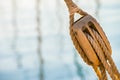 Wooden pulley with nautical ropes of traditional sailboat Royalty Free Stock Photo