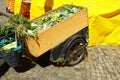 A wooden push cart or two wheels handcart full of vegetable rests.